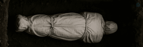 ‌آـویــد‌'s header picture