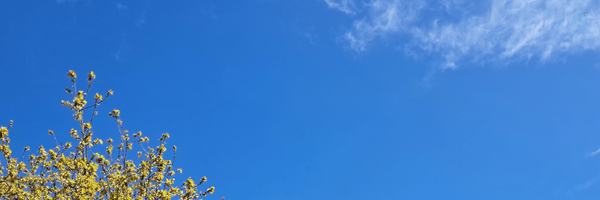 ‌پرواز‌'s header picture