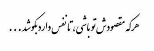 ‌زهرا فرح بخش‌'s header picture