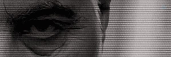 ‌بدرالنجوم ۳۱۳‌'s header picture