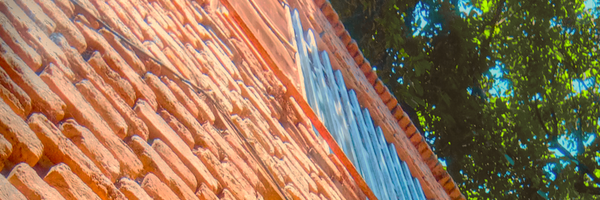 ‌مهدی شریعتی‌'s header picture