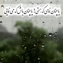 Profile picture of ‌سپیدار‌