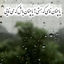 Profile picture of ‌سپیدار‌