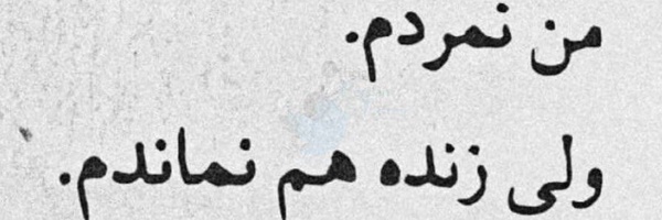 ‌‌خانومِ۵۵۷.‌'s header picture