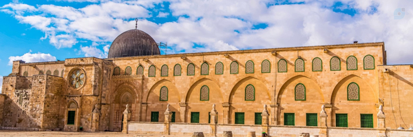 ‌محمد بدری‌'s header picture