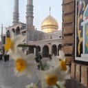 Profile picture of ‌یا زهرا •  •‌
