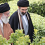 Profile picture of ‌🚩کربلایی آلاء‌
