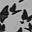 Profile picture of ‌user1748160324578936804‌