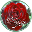 Profile picture of ‌علی اصغر فروزان‌