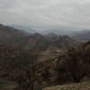 Profile picture of ‌صفورا شیربیگی‌