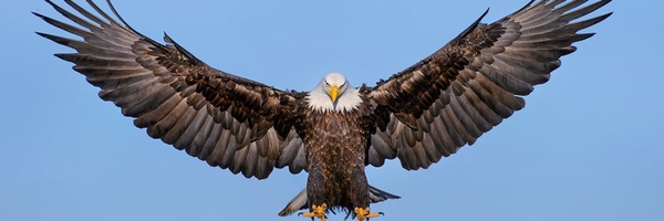 ‌امین🇮🇷🦅‌'s header picture