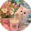 Profile picture of ‌Miss rz‌