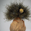 Profile picture of ‌فرشته شهرستانی‌