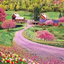 Profile picture of ‌صالحه عباسی‌