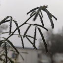 Profile picture of ‌مهدی خان‌