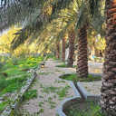 Profile picture of ‌عادل ارجمندی‌