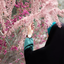 Profile picture of ‌زہـ🦋ــرآ‌