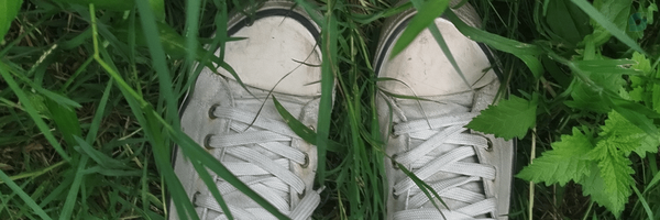 ‌سادات‌آسمونی🩵*‌'s header picture