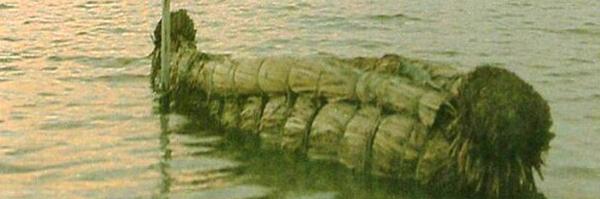 ‌محمد🇮🇷 شیوان پور‌'s header picture