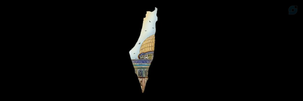 ‌رضوی🇮🇷 | فالو بک‌'s header picture