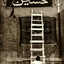 Profile picture of ‌امیرآریان بیدشکی‌