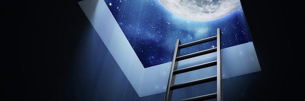 ‌سیدموسوی✍️‌'s header picture