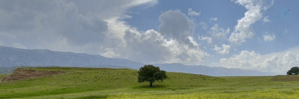 ‌رضا رودانی پور‌'s header picture