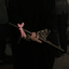 Profile picture of ‌F . Gh‌