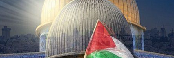 ‌فايز حيدرة‌'s header picture