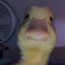Profile picture of ‌Ольха‌