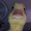 Profile picture of ‌Ольха‌