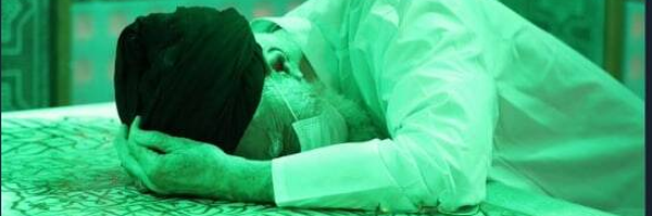 ‌امیرحسین شجری‌'s header picture