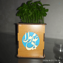 Profile picture of ‌Shahram Hardani‌