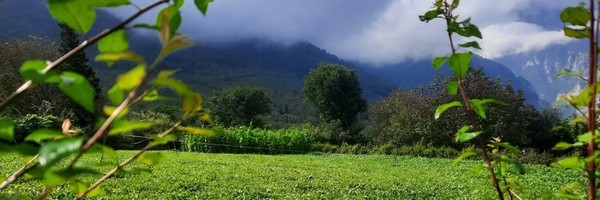 ‌محمدرضا اکبری‌'s header picture