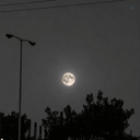 Profile picture of ‌Moon shadow🎒¹⁶⁸‌