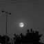 Profile picture of ‌Moon shadow🎒¹⁶⁸‌