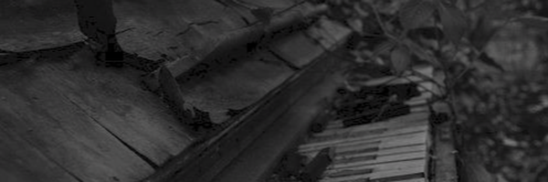 ‌user1748160320658208144‌'s header picture
