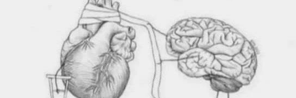 ‌رفیق آهنی:)‌'s header picture