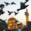 Profile picture of ‌GazaL Kiani‌