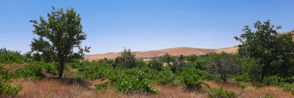 ‌علی‌محمّد رفیعی‌'s header picture