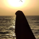 Profile picture of ‌ز_ رمضان نیا‌