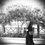 Profile picture of ‌Mehra Mehrnorouzi‌
