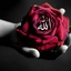 Profile picture of ‌Hamid Franak‌