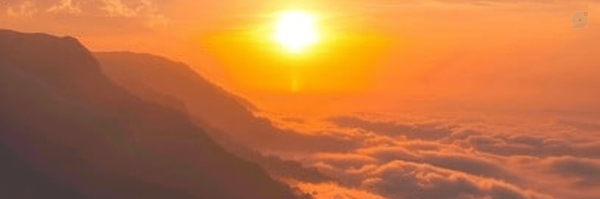 ‌وحید جوادی‌'s header picture