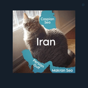 Profile picture of ‌حسین محمدی‌