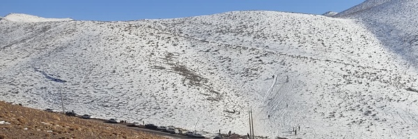 ‌حمیدرضا جمشیدی‌'s header picture
