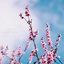 Profile picture of ‌یه حق‌گو‌
