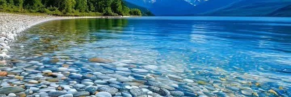 ‌مهدی افتدکاه‌'s header picture