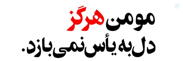 ‌شیوا یاری‌'s header picture