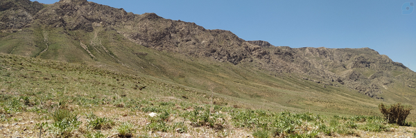 ‌یاسر احمدی آورگانی‌'s header picture